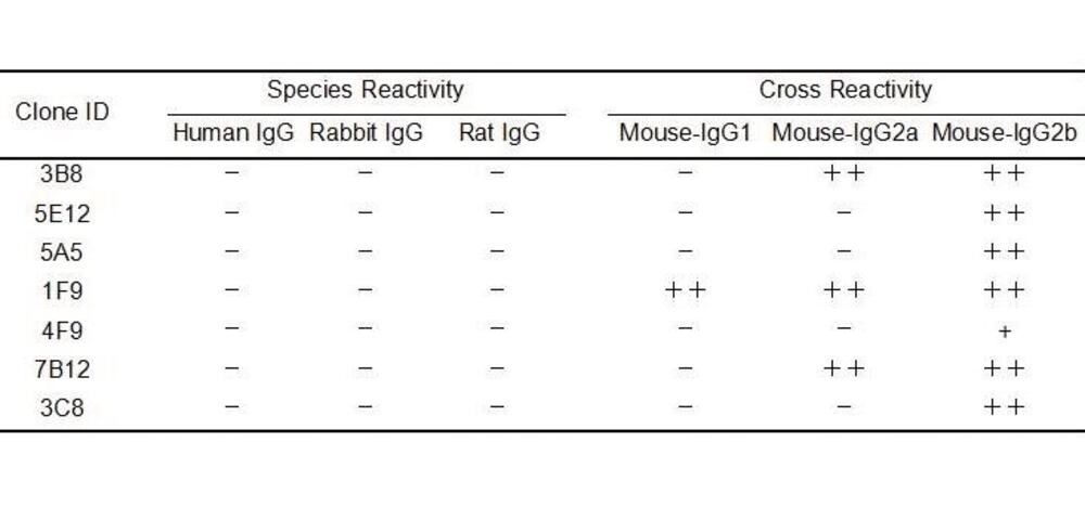 3E0N.1, Antibodies.Com