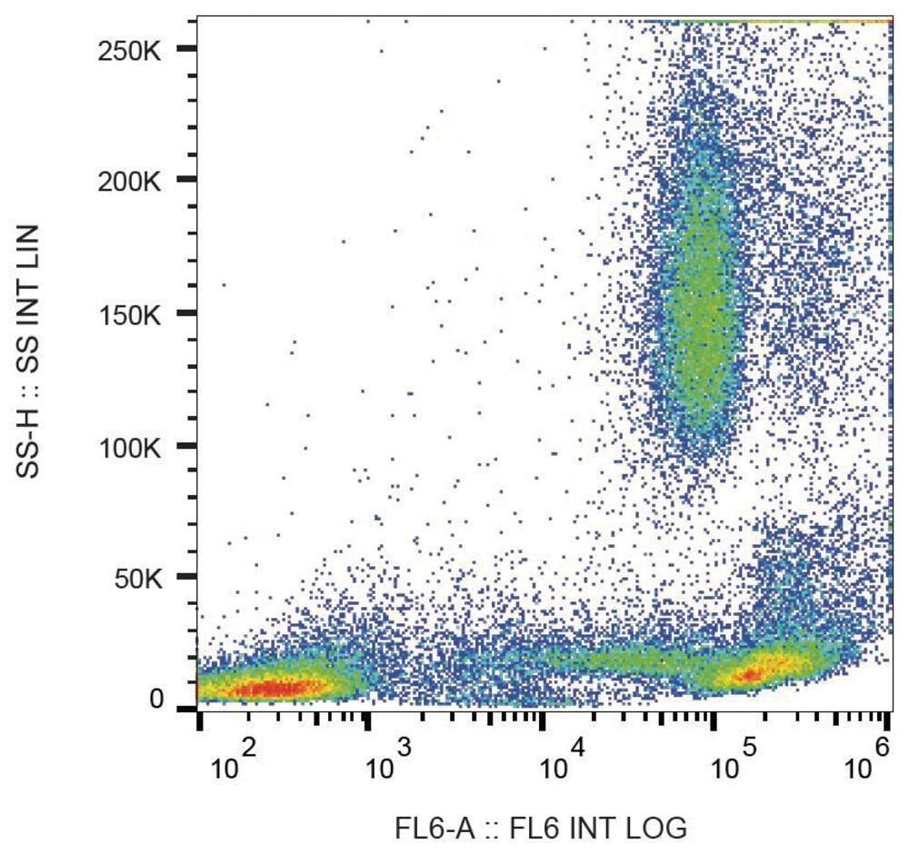 3E65.1, Antibodies.Com