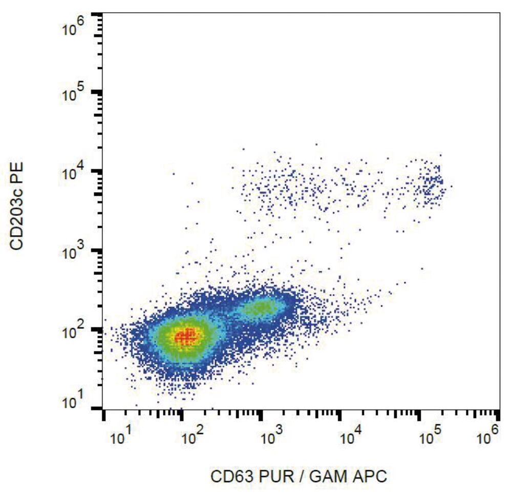 3E6X.1, Antibodies.Com