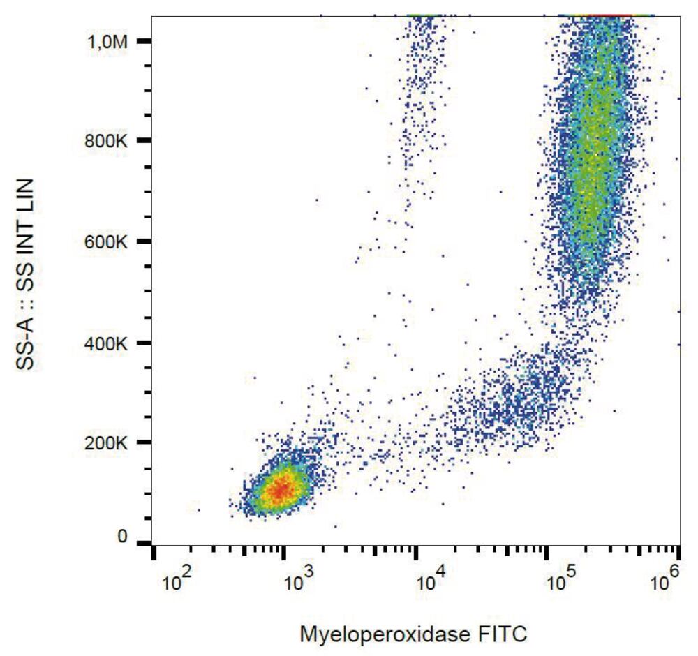 3E73.1, Antibodies.Com