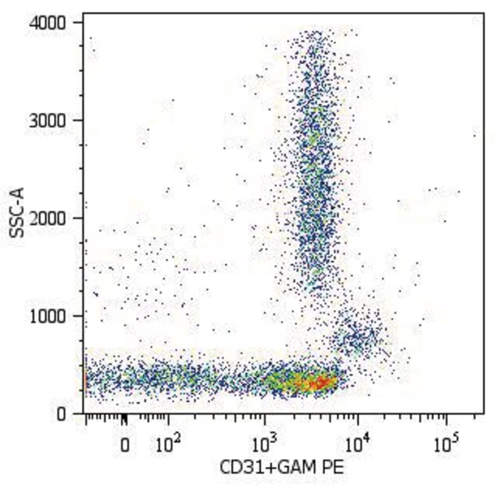 3E78.1, Antibodies.Com