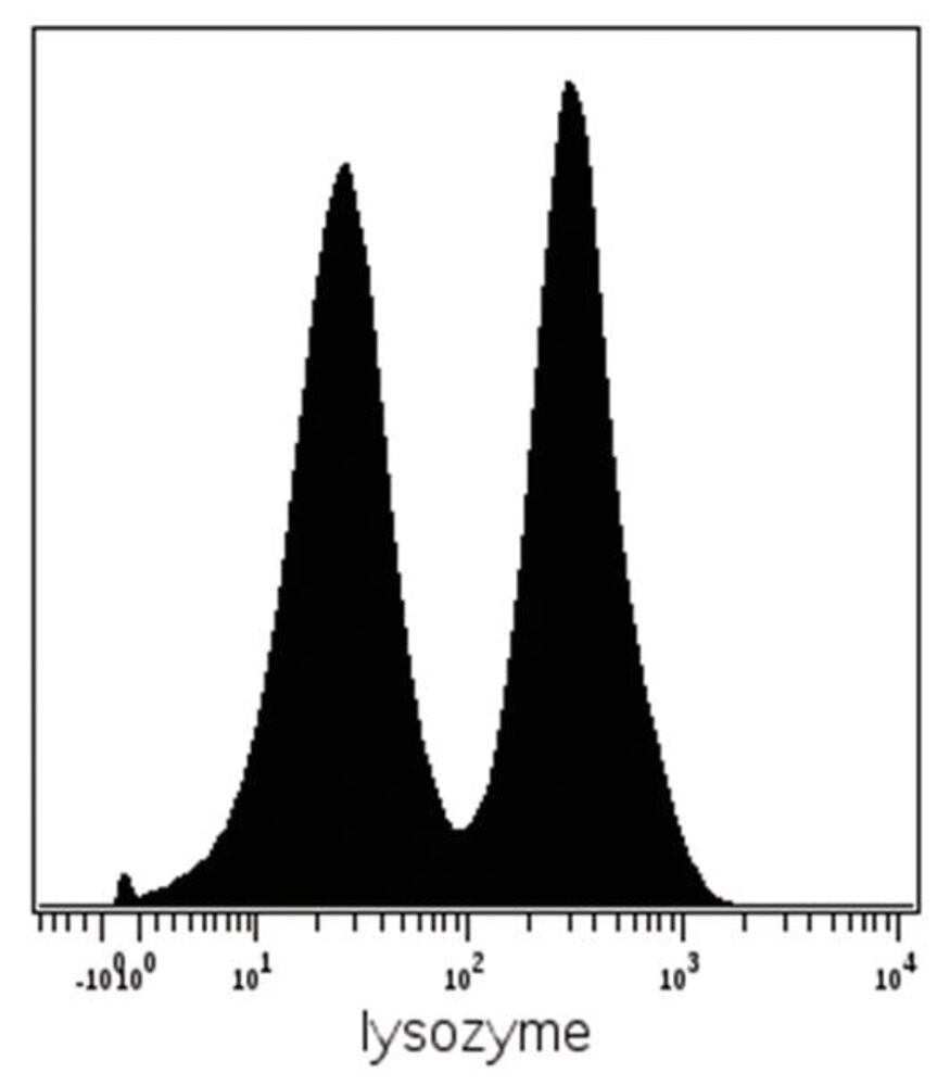 3E7L.1, Antibodies.Com