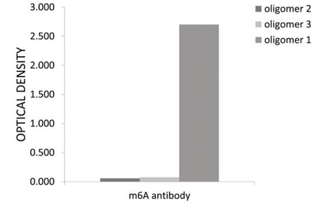 3EKA.1, Antibodies.Com