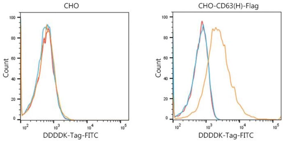 3ETT.1, Antibodies.Com