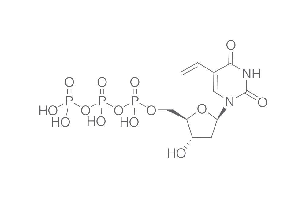 3HHL.1, Carl Roth