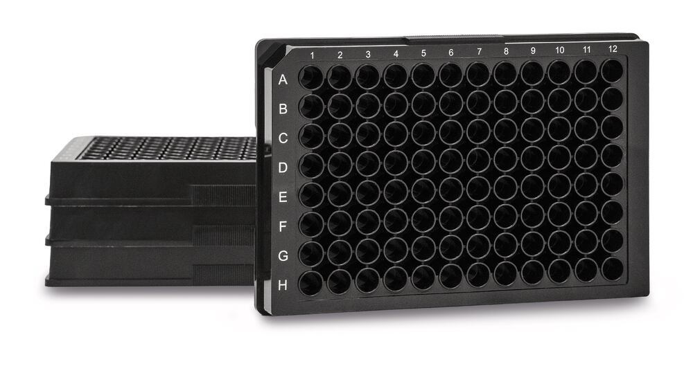 3KP3.1, Roth Selection