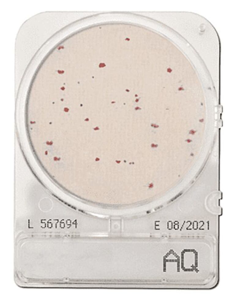 3LA8.1, Shimadzu Diagnostics Europe