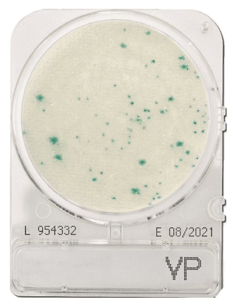 3LAL.1, Shimadzu Diagnostics Europe