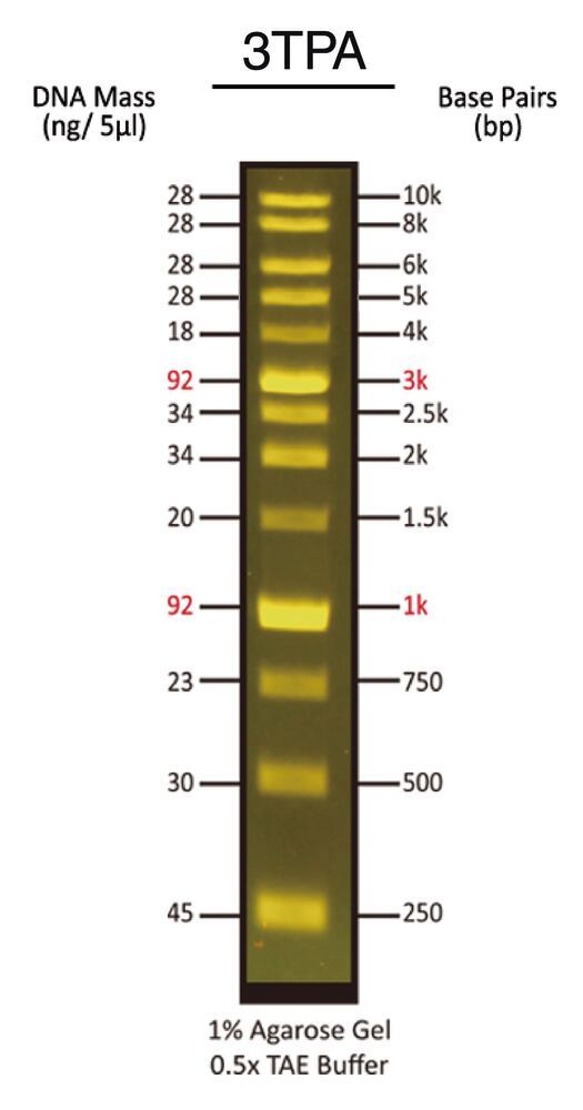 3TPA.1, Carl Roth