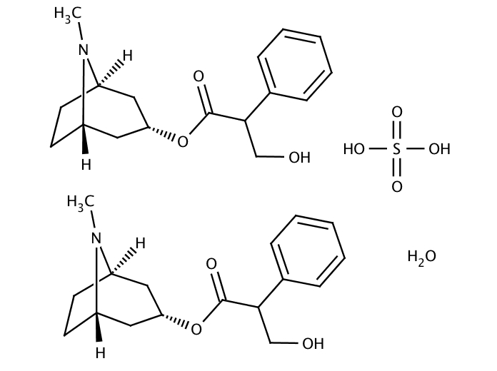 40811084, Molekula
