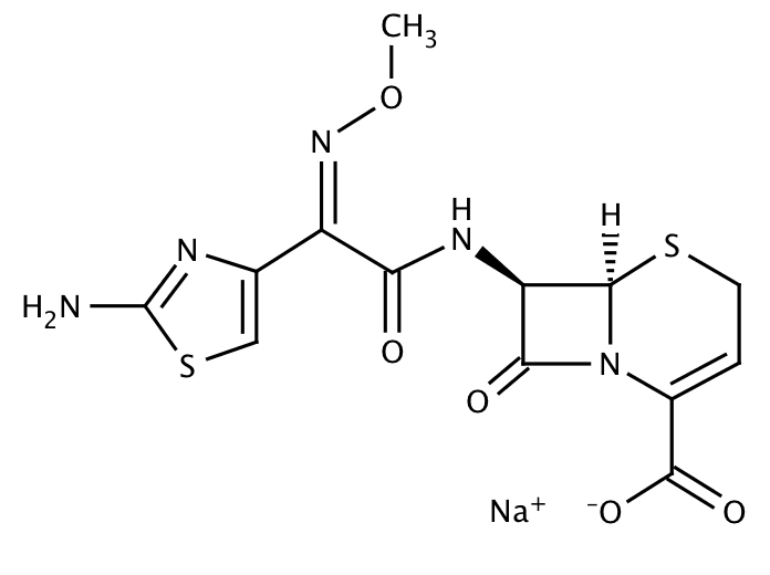 Ceftizoxime sodium salt [68401-82-1]