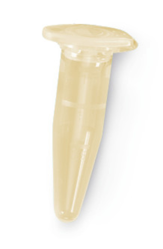 4204.1, Roth Selection