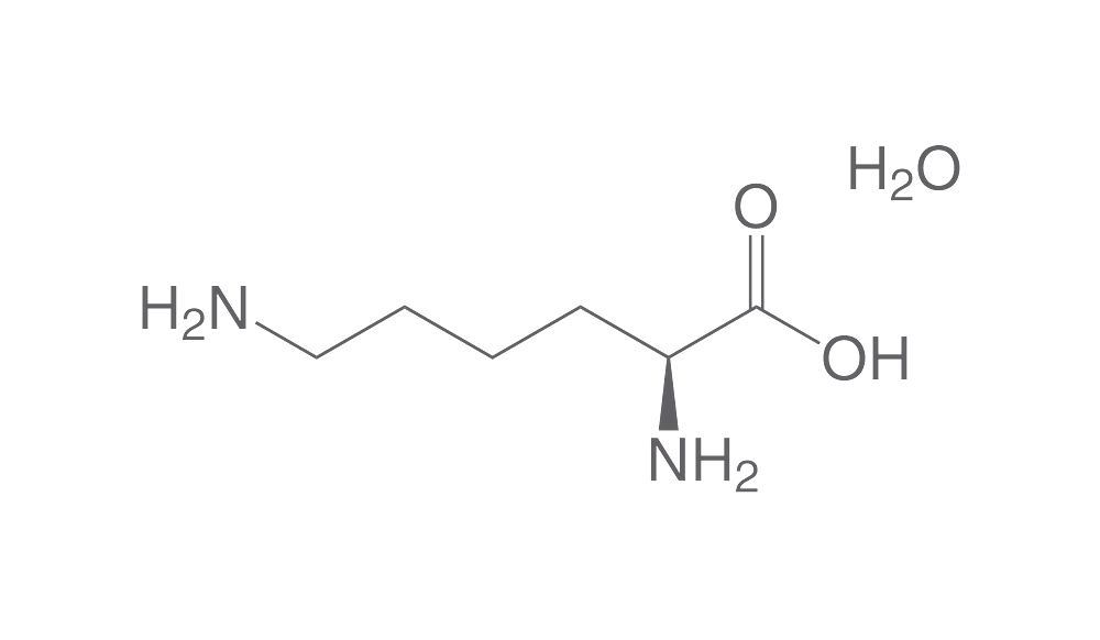 Lysine