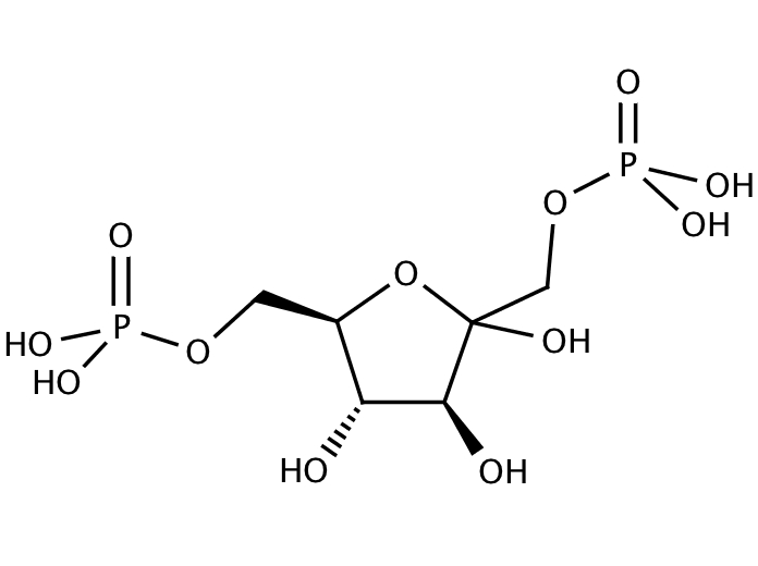 42503371, Molekula