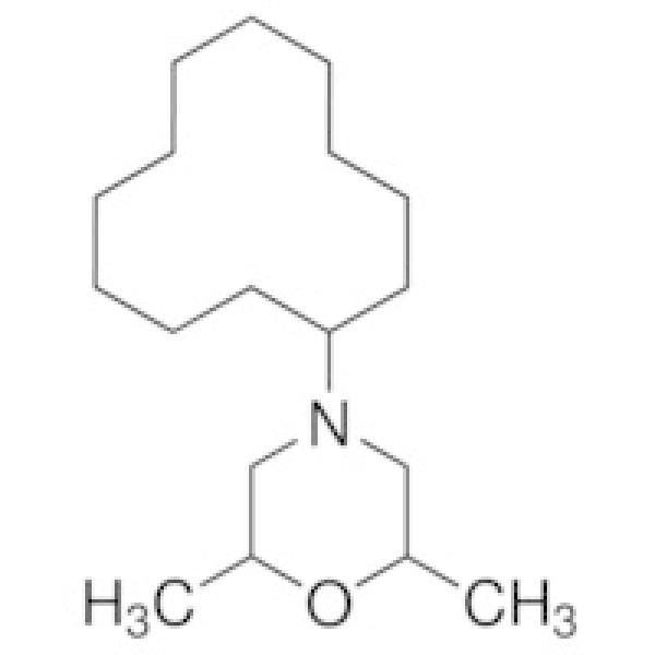 45465-250MG, Merck