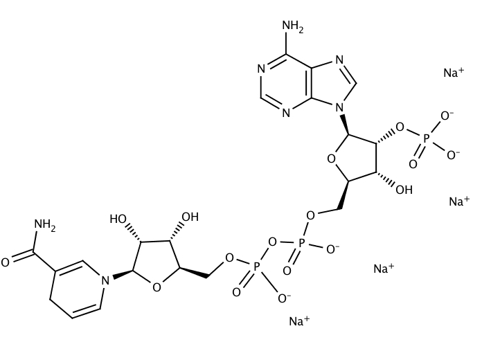 NADPH tetrasodium salt tetrahydrate [2646-71-1]