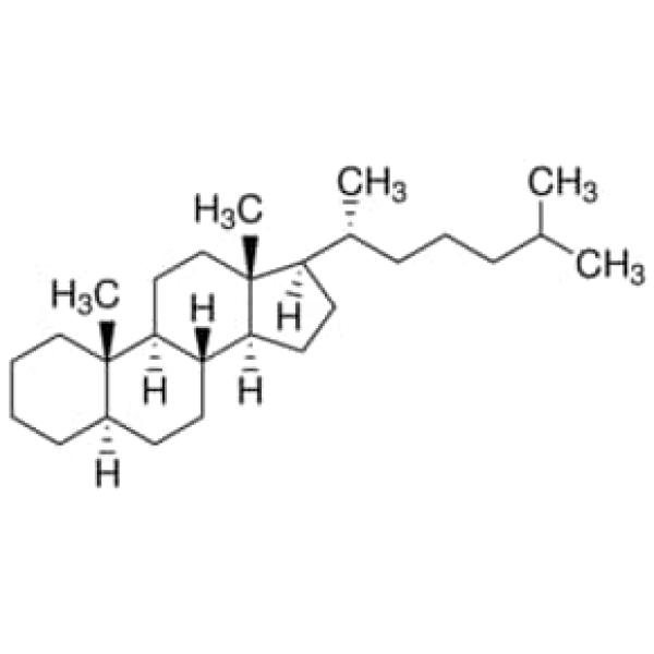 47124, Merck