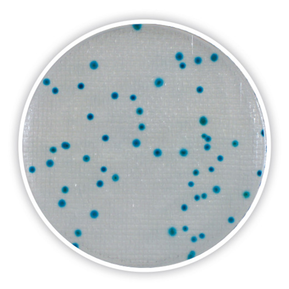 4827.1, Shimadzu Diagnostics Europe