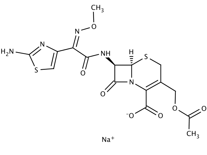 50013891, Molekula