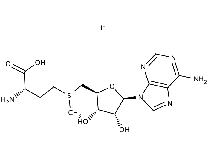 52277849, Molekula