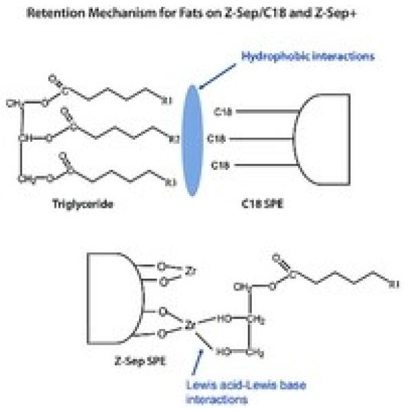 55284-U, Merck