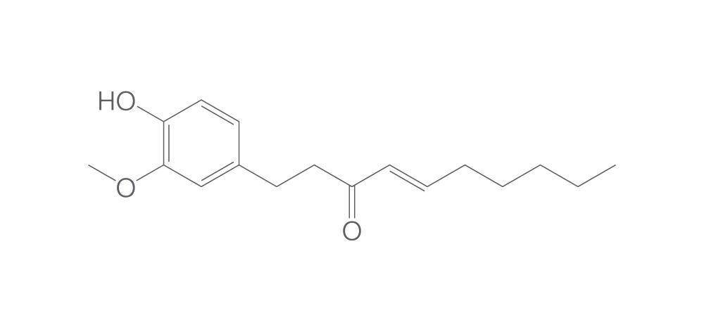 6-Shogaol, 10 mg