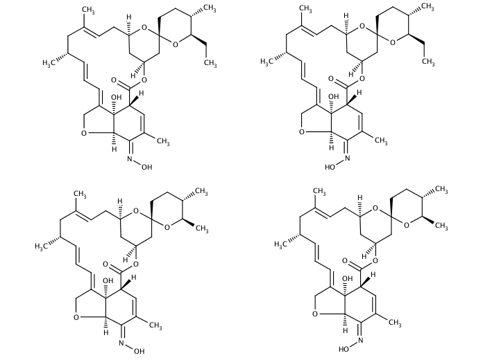 56079360, Molekula