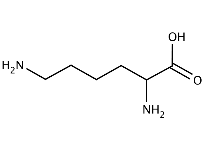 57277571, Molekula