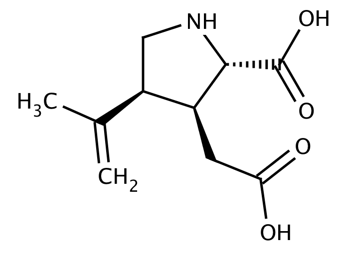 58606205, Molekula