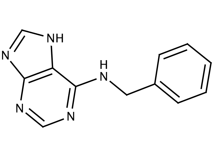 60694138, Molekula
