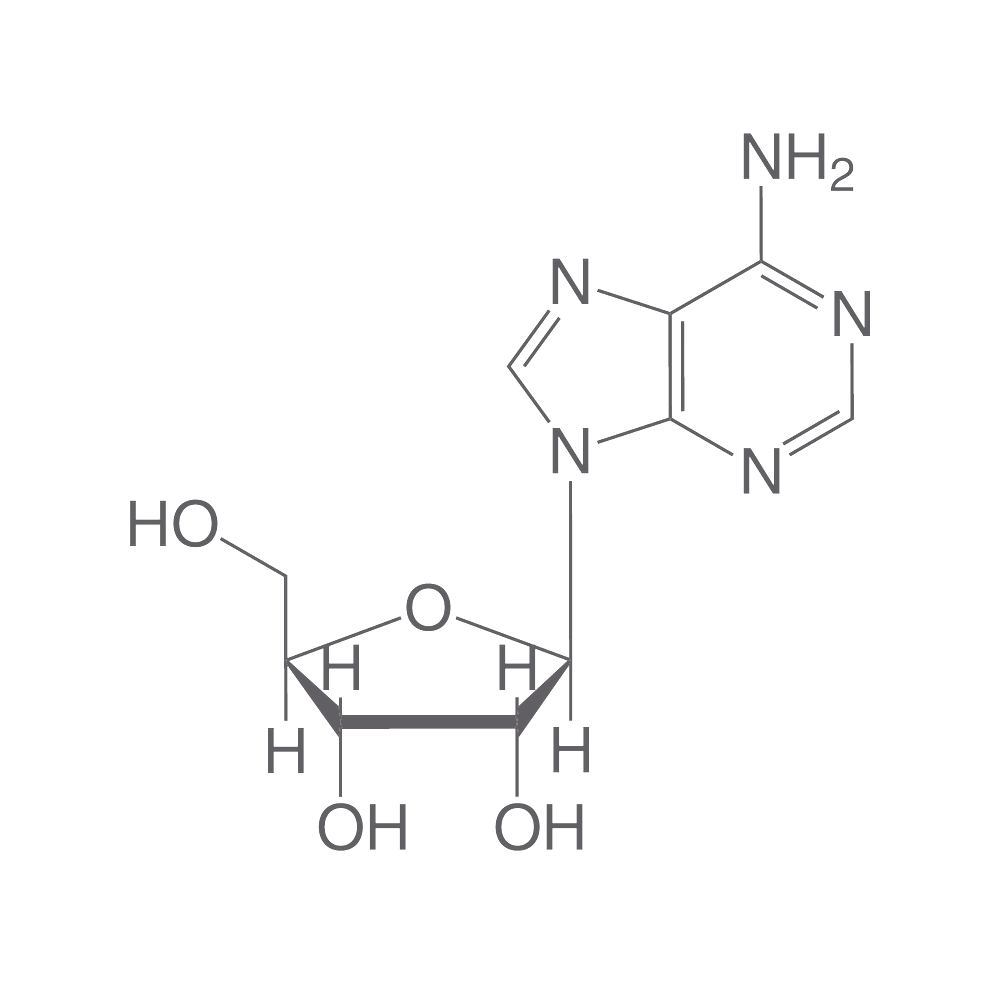 Nucleosides for DNA synthesis