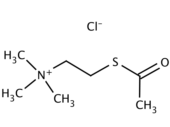 61538581, Molekula