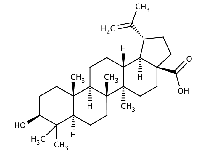 61934282, Molekula