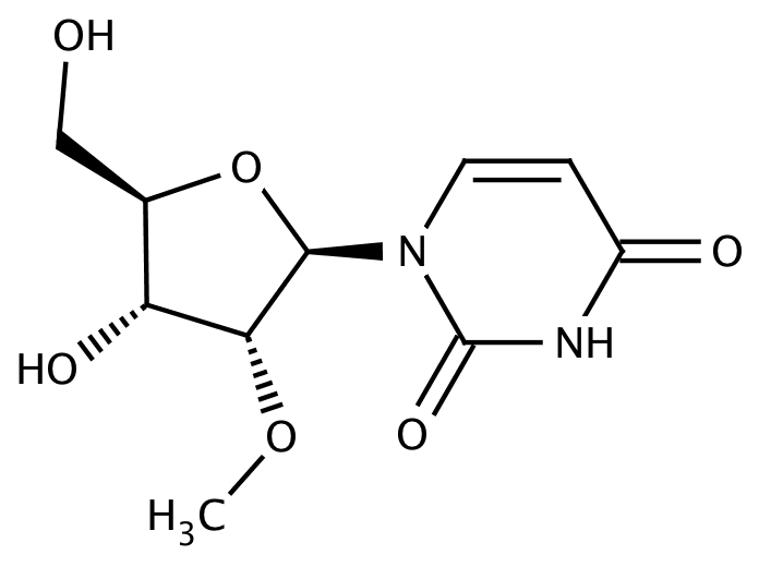 62650814, Molekula