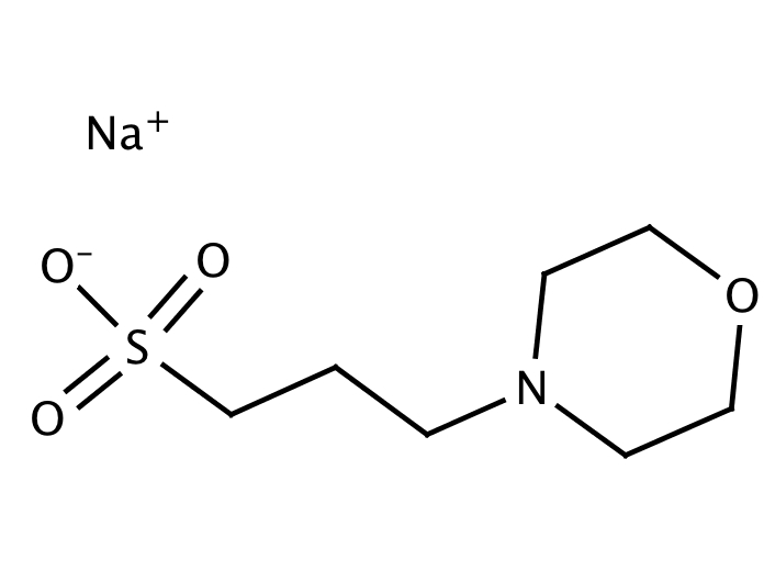 63935008, Molekula