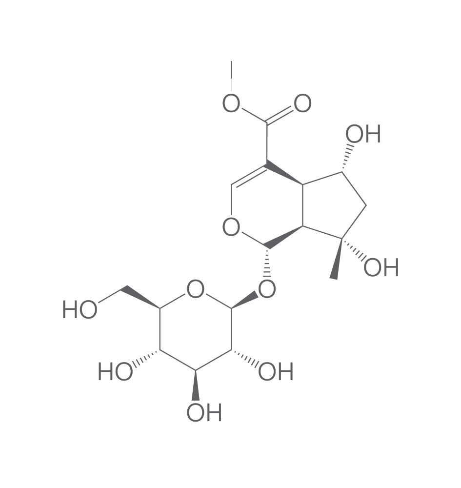 Iridoids