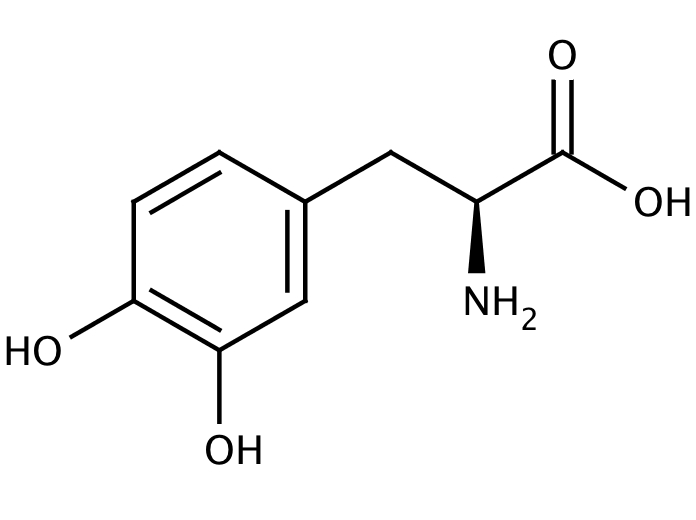 64811919, Molekula