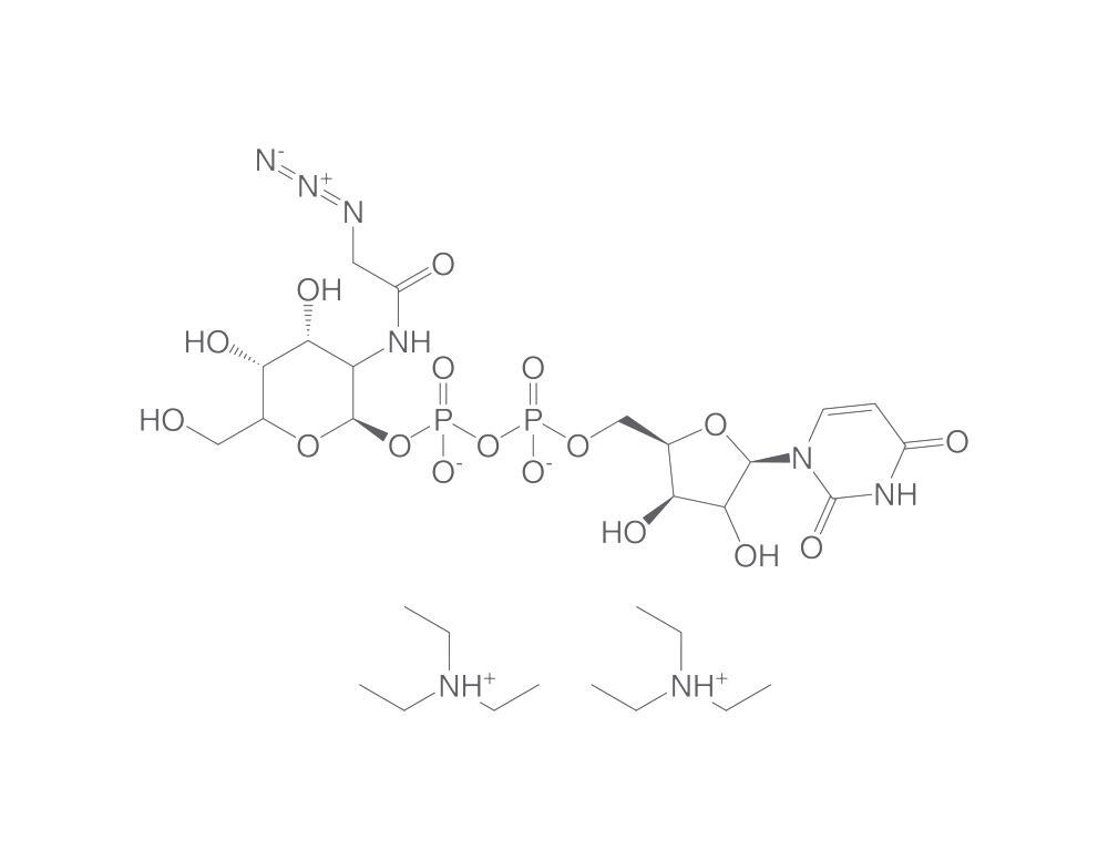 UDP-N-azidoacetylgalactosamine triethylamine, 500 µg