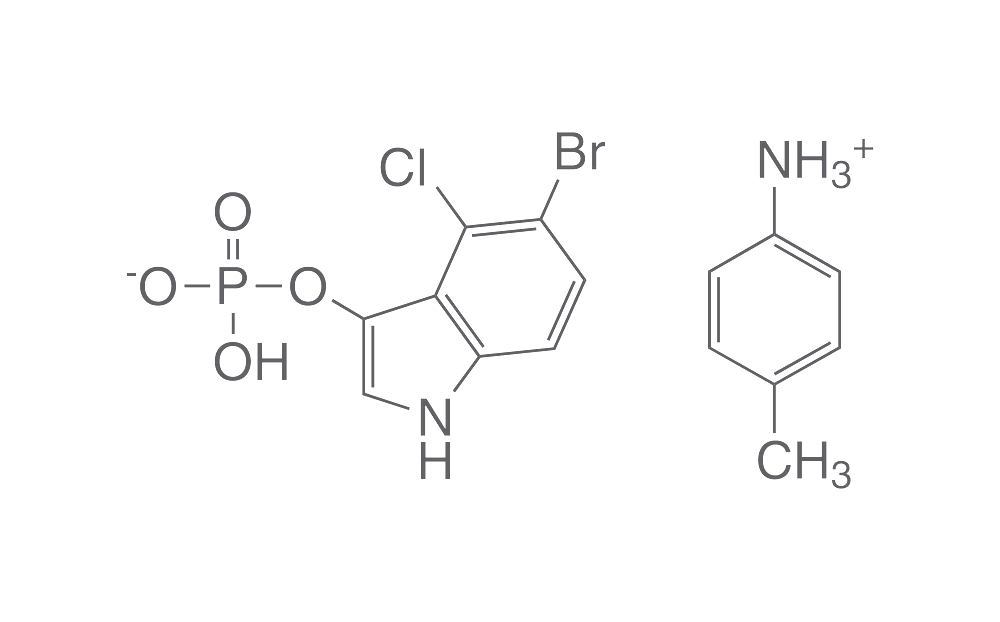 For Alkaline Phosphatase (AP)