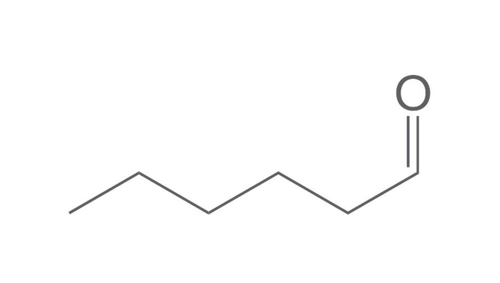 Aliphatic Aldehydes