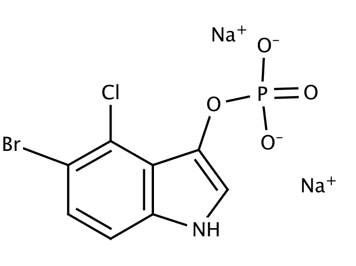 67003351, Molekula