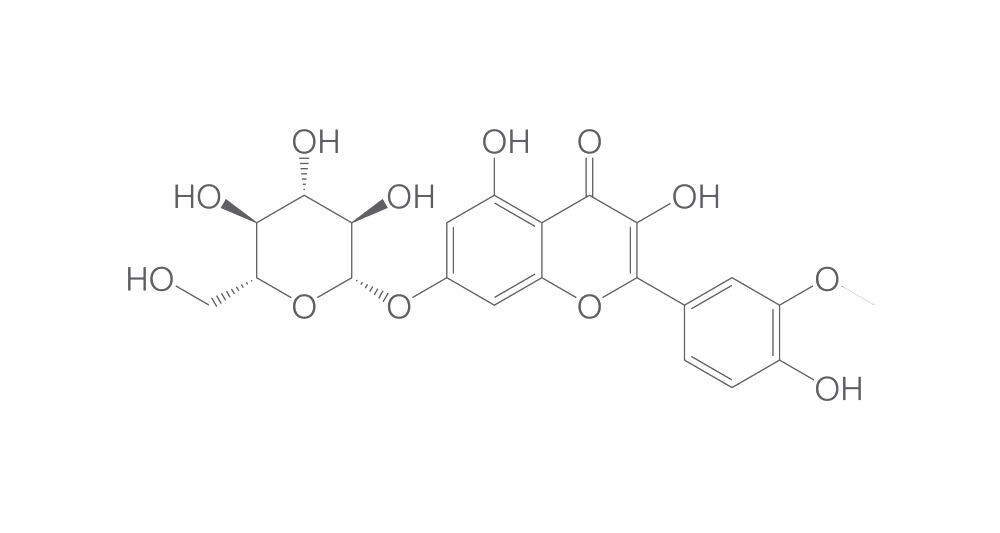 Isorhamnetin 7-o-glucoside, 25 mg