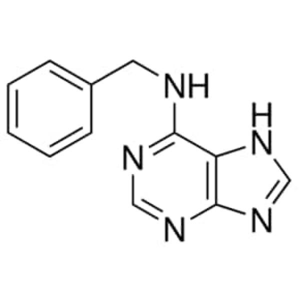 67619-100MG, Merck
