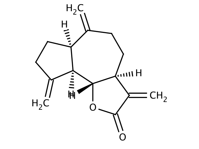 68221569, Molekula