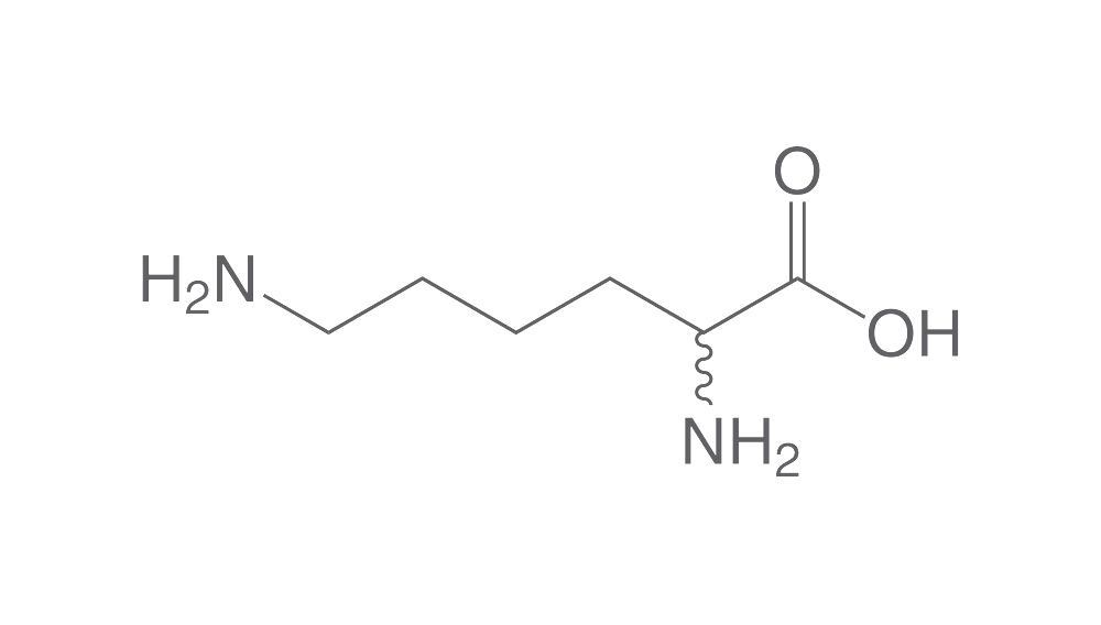 Lysine
