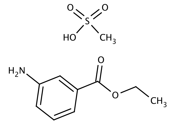 70444511, Molekula