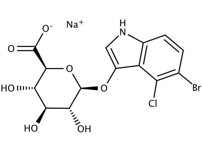 75081519, Molekula