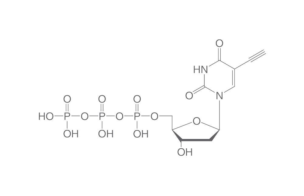 Nucleic Acid Modifcations
