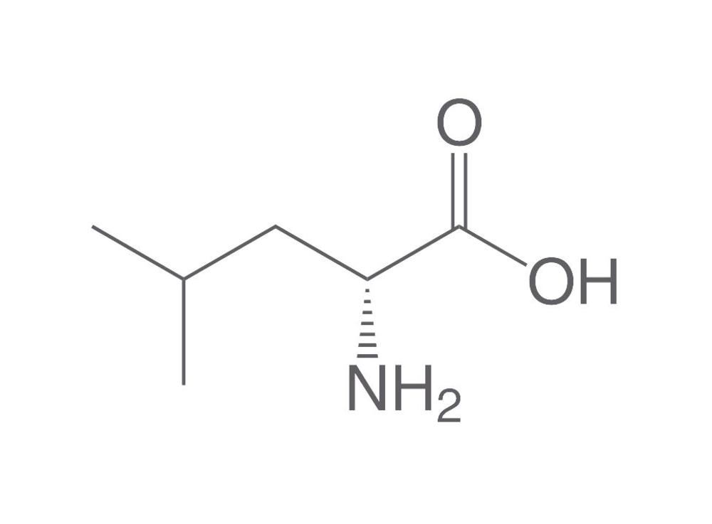 Leucine