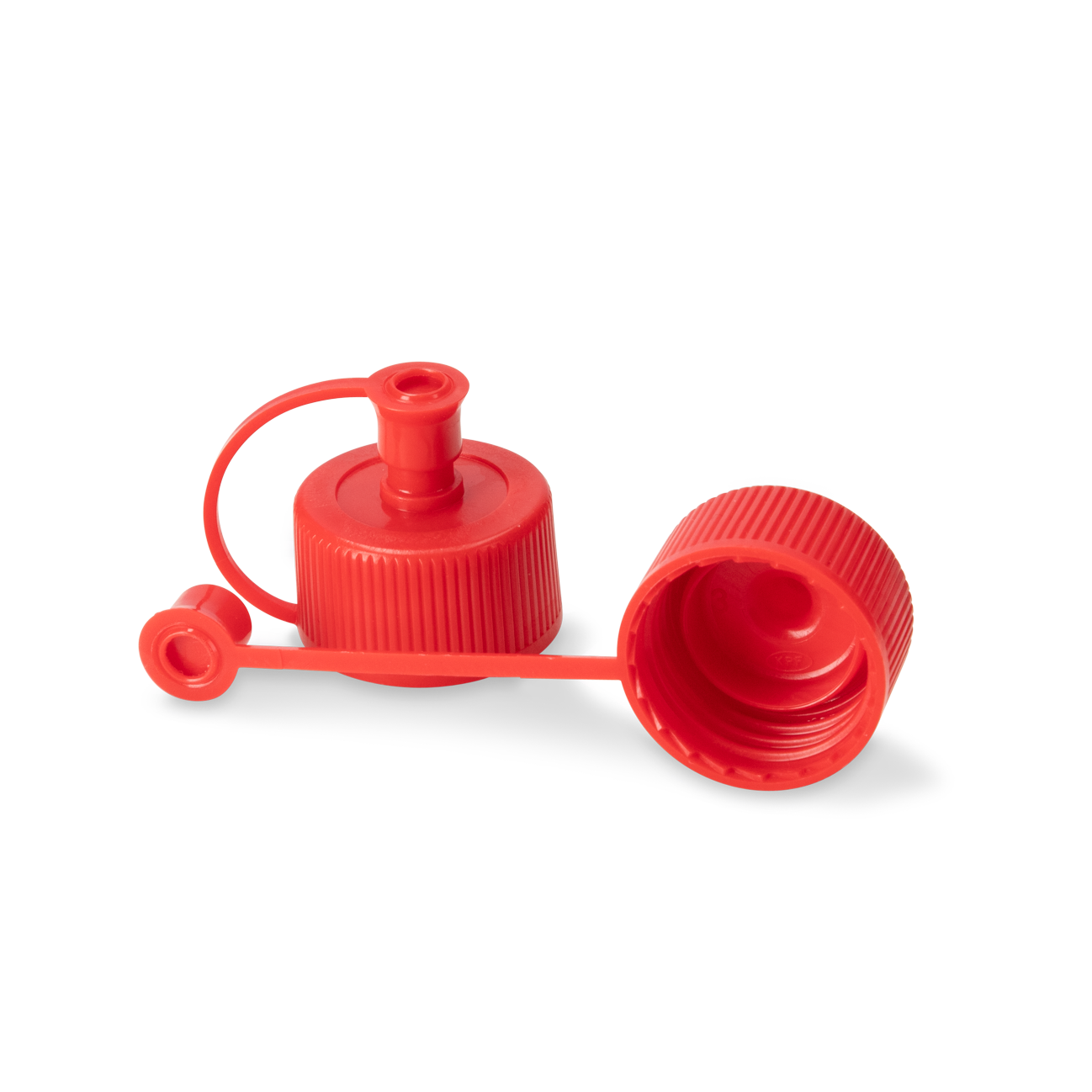 8-2020-25-R-PN, Rixius